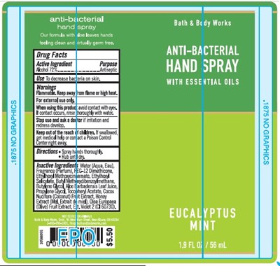 ABHS Eucalyptus Mint.jpg ABHS Eucalyptus Mint - ABHS Eucalyptus Mint